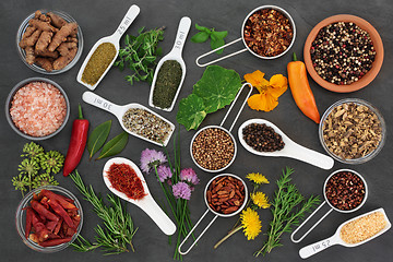 Image showing Herb and Spice Selection 