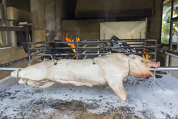 Image showing Roasting suckling pig on the broach in the coals