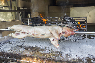 Image showing Roasting suckling pig on the broach in the coals