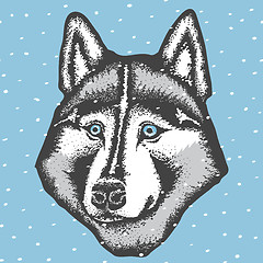 Image showing Vector siberian husky