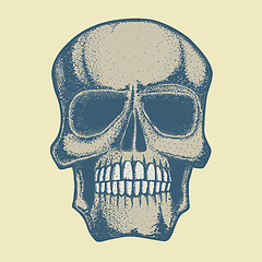 Image showing Vector skull illustration