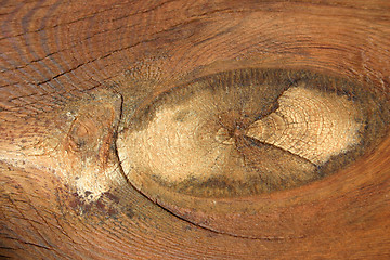 Image showing Notty Wood