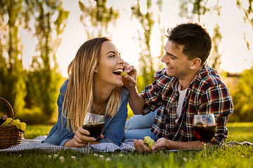 Image showing Just us and a Picnic