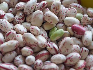 Image showing Crimson beans legumes vegetables