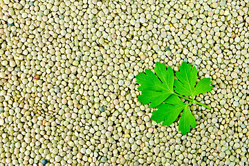 Image showing Lentils green with parsley