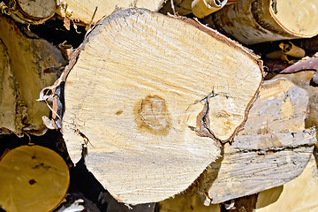 Image showing End of birch logs