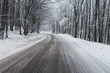 Image showing Winter Road Turns