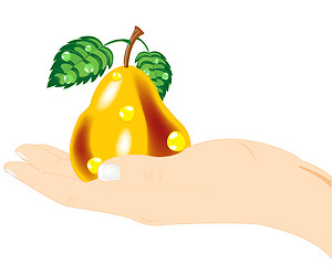 Image showing Pear in hand