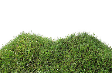 Image showing Simple Grassy Hill Cutout