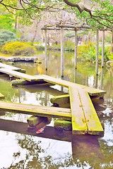 Image showing Wooden plank bridge, yatsuhashi, and carp fish in Japanese garden