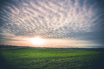 Image showing Rural landscape with green fields