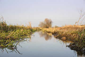 Image showing Silent river stream in wild nature