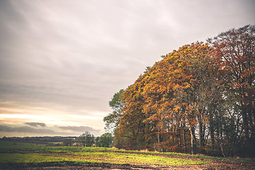 Image showing Countryside landscape in the autumn season