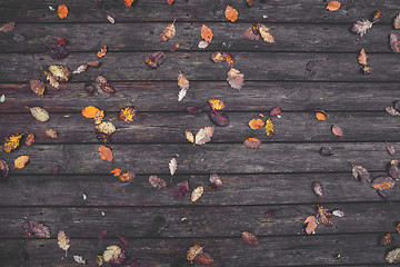 Image showing Autumn leaves on a wooden background