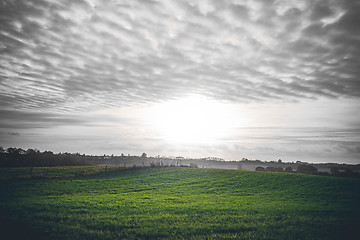 Image showing Countryside sunrise with green fields