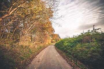 Image showing Autumn landscape with a road