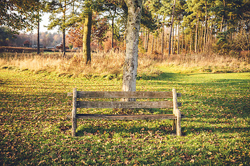 Image showing Empty bench in a park in the fall