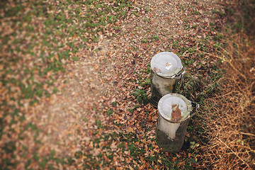 Image showing Two garbage cans in a park