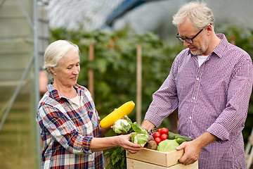 Image showing senior couple with box of cucumbers on farm