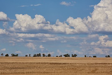 Image showing Endless barren field