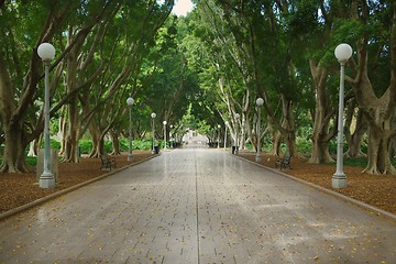 Image showing Park avenue with large trees