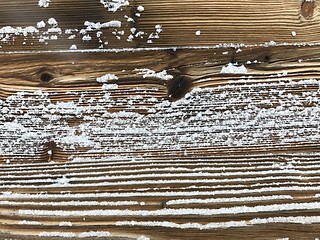 Image showing old wood covered with snow background