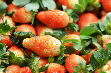 Image showing Fresh ripe strawberry