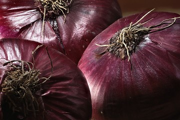 Image showing bulbs are red onion unpeeled