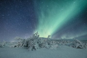 Image showing Aurora borealis in Iceland