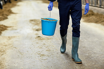 Image showing man with bucket of hay in cowshed on dairy farm