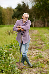 Image showing happy senior man with shovel at garden or farm