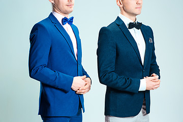 Image showing Portrait of handsome and elegant business men