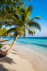 Image showing Maldives beach