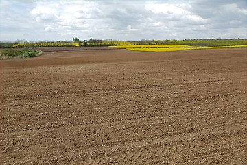 Image showing Agircutural field with brown soil