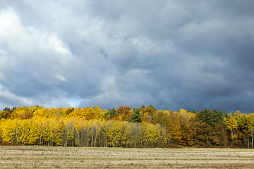 Image showing Nature in autumn season