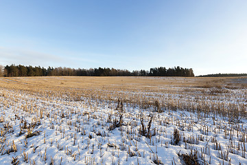 Image showing field covered with snow