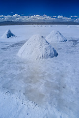 Image showing Salt flat in Bolivia