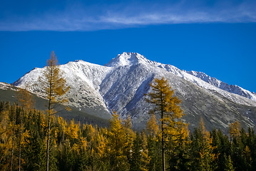 Image showing Nature in Strbske pleso