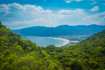 Image showing Jungle in Brasil