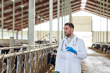 Image showing veterinarian with syringe vaccinating cows on farm