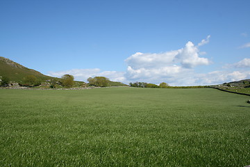 Image showing Spring landscape