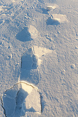 Image showing Photo snow, close-up