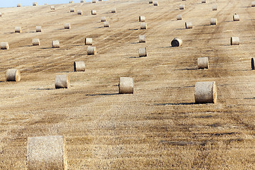 Image showing stack of straw in the field