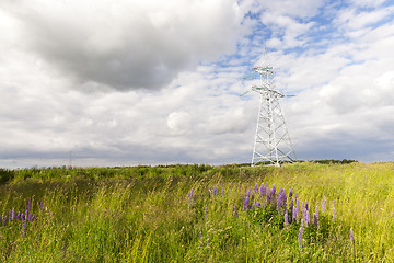 Image showing electric pole, field