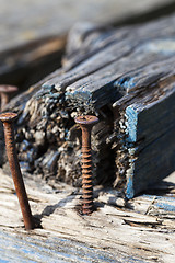 Image showing old rusty screw