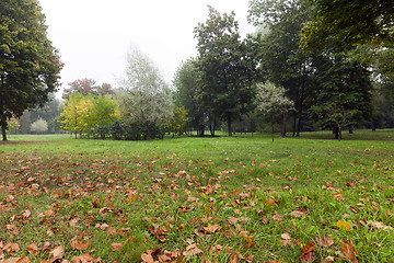 Image showing autumn landscape, park