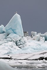 Image showing Glacial lake in Iceland