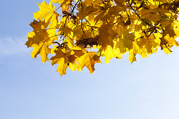 Image showing Park in the fall