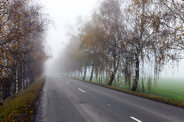 Image showing asphalted road, autumn