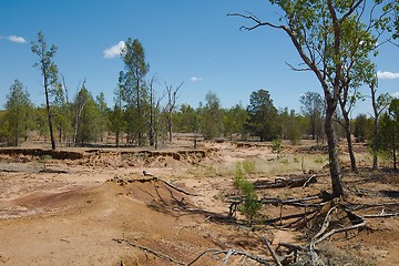 Image showing Australian plain with flood soil damage